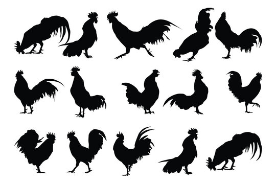 set of roster logo vector design silhouette