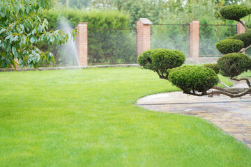 Fototapeta na wymiar Water sprinkler system working on a garden nursery plantation. Water irrigation system