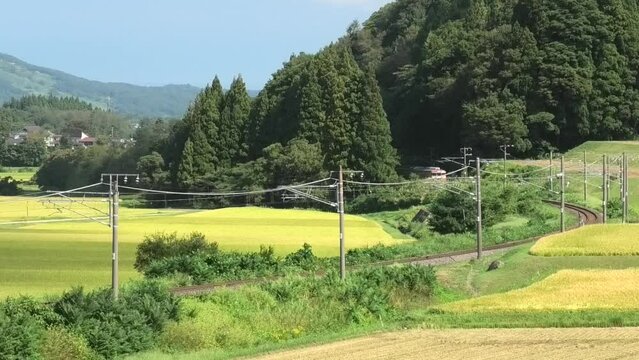 妙高はねうまライン　413系