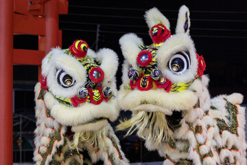 Lion dance performance show During Chinese new year festival at Kota Kinabalu City, Sabah, Malaysia...