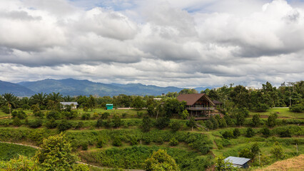 Beautiful nature landscape view with big Durian farm