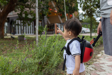 Portrait image Happy 1-2 years old Asian Chinese child carry a beetle bag