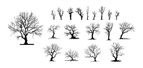 Dead Trees, Naked trees silhouettes. Winter trees isolated on white background
