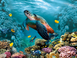 coral reef and fish underwater world corals turtle top view for printing 3D flooring wallpaper