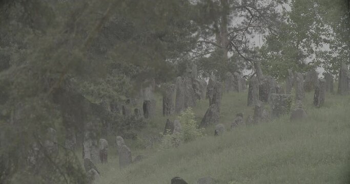 Old ancient Jewish cemetery in summer spring day. Druya, Belarus. green grass and many ancient stones. Headstone Headstones Tombstones jewish grave, clog2, clog, canon c70, c log 2.