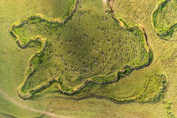 Ordu Persembe Plateau, Persembe Plateau is a popular plateau famous for meandering. Green grass has streams in it. known as in Turkish 