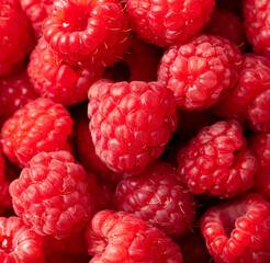 Red ripe raspberries as a background. Close-up