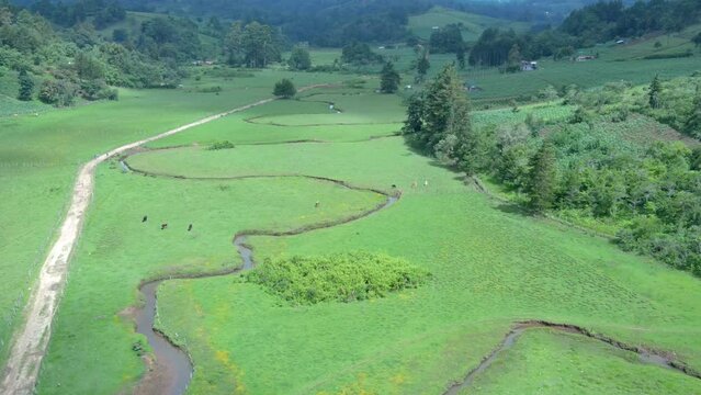 Cinematic aerial view over a beautiful meadow located in highlands in Yarula, Honduras