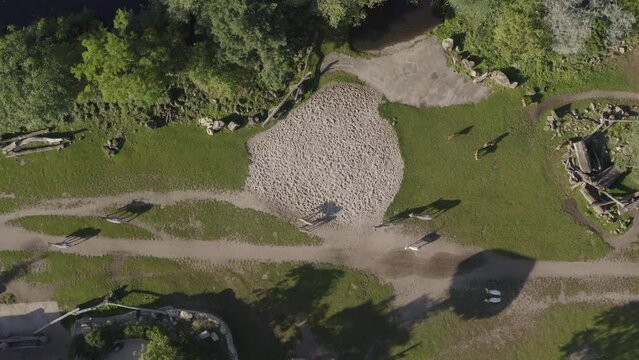drone shot savannah, shadow of animals, warm and sunny day, RED 4K