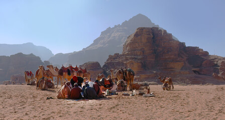 Bedouin caravan with camels sitting in the red sand desert of Wadi Rum Jordan, UNESCO World...