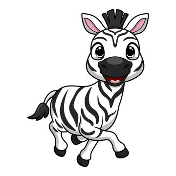 Cute little zebra cartoon on white background