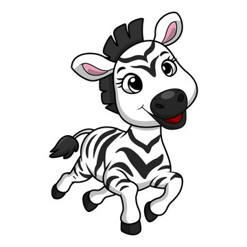 Cute little zebra cartoon on white background