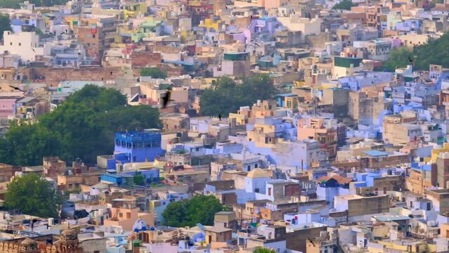 Jodhpur the Blue City aerial view. Blue painted houses and birds flying in the morning above brahmin houses, view from Mehrangarh Fort, Rajasthan, India. Camera horizontal pan