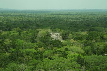 temple maya, calakmul, mexique