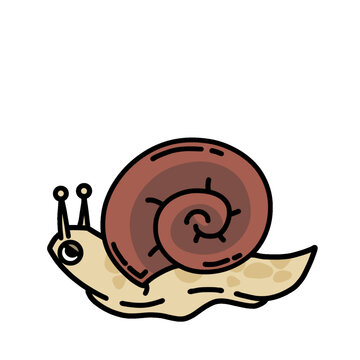 cute snail cartoon drawing transparent background illustration vector
