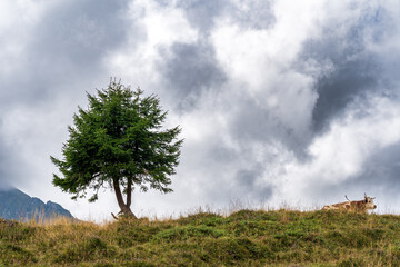 Obraz premium Frankreich Haute Savoie im Herbst