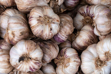 A pile of ripe garlic heads at the market