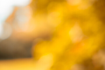 Fototapeta premium Abstract colorful bokeh of autumn nature. Autumnal background.