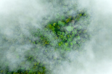 Mist on tropical rainforest mountain, Tropical forests can increase the humidity in air and absorb...