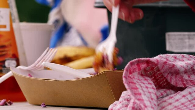 Hand eating pulled pork and fries and food festival 