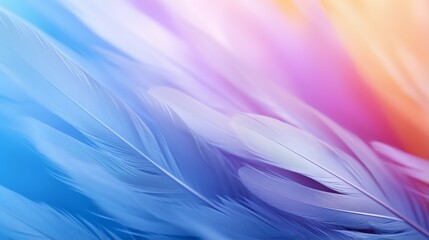 Feather Background, Feather PPT Background