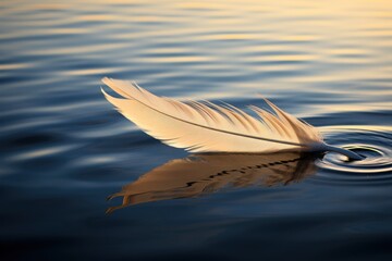 A serene image of a white feather gently floating on the surface of a body of water. This picture captures the tranquility and beauty of nature. Perfect for use in various projects such as illustratin