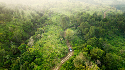 Adventure morning road trip in the forest, aerial view of a 4x4 car on deep jungle off road trail