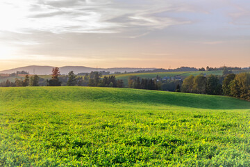Summer view between green fields near Vysoke nad Jizerou town