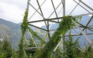 Electricity pylon being overgrown by nature