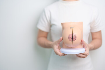 Woman holding Breast Anatomy model. Breast Augmentation Surgery, October Breast Cancer Awareness...