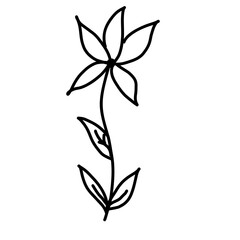 Flower on branch sketch