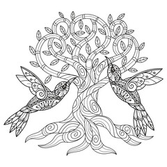 Tree and birds hand drawn for adult coloring book