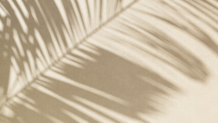 Tropical palm tree in sunlight with leaf shadow on blank beige brown cement texture wall for luxury...