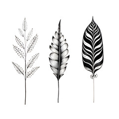 Black and white leaf clip art