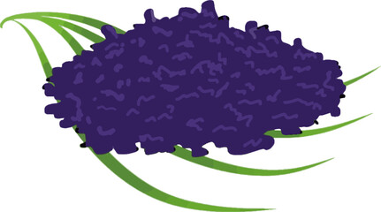 Illustration vector graphic of tapai ketan or fermented glutinous rice . Good for any design or product related to food, nutrition, etc.