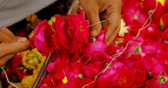 Flower vendor makes hindu flower (pushpa) garland and strings red roses on long needle. Pushpa garland is used for temple decoration and religious offerings. Jodhpur, Rajasthan, India, Asia