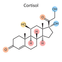 Chemical organic formula of cortisol steroid hormone diagram schematic raster illustration. Medical science educational illustration © Oleksandr Pokusai