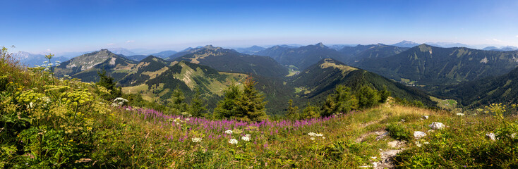 Austria, Salzburger Land, Hintersee, Drone panorama of mountaintop meadow in summer