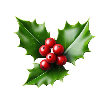 Christmas holly, modeled, smooth texture, white background - Generative AI