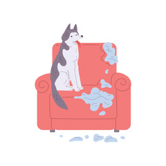 Pet mess, disorder and destruction by naughty dog, damaged and scratched armchair, vector cartoon bad canine behavior