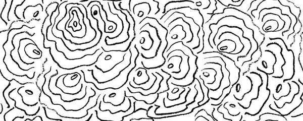 Flower curly lines  seamless pattern. Pencil squiggles ornament. Scribble doodle strokes vector background. Hand drawn pen scribbles, curved lines. Black pencil sketches. Squiggles and geometric eleme