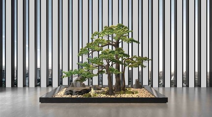 code in the garden bonsai tree on a white background. 3d rendering