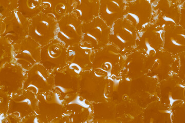 golden honeycombs filled with honey