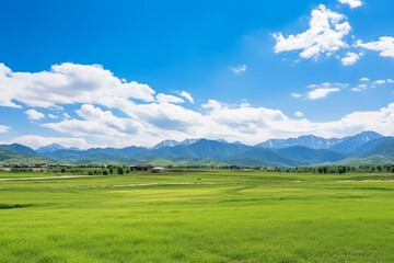 Fototapeta na wymiar Panoramic natural landscape with green grass field, blue sky and mountains in background
