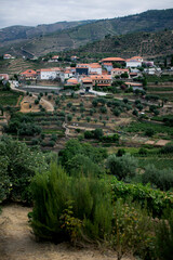 View of the vineyards near the town of Pinhao, Douro Valley in Portugal.