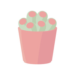 Cactus Illustration