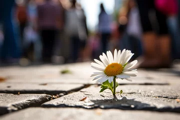  Nature's resilience: A delicate flower breaks through the pavement, symbolizing growth and blossoming amidst the harshness of urban roads. Beauty in nature's persistence © Lazarev production