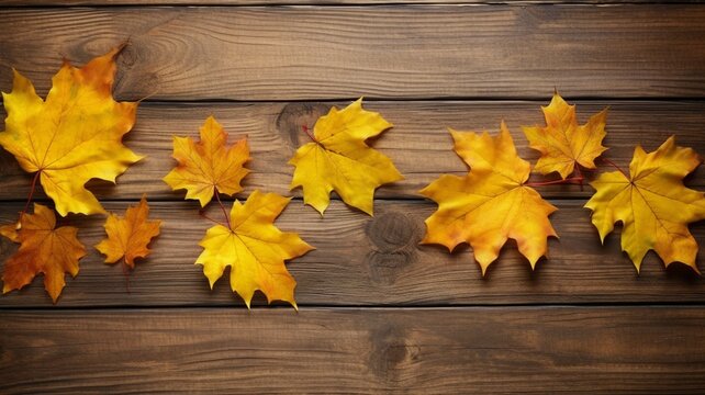 Autumn maple leaves on wooden background. Top view with copy space
