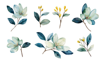 Set of green branches with leaves and flowers isolated. Magnolia flower collection. Great as stickers, botanical decor, flower shop logo