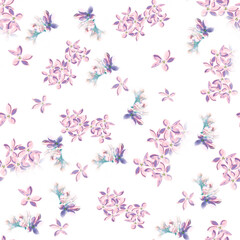 Seamless floral spring background.   Lilac flowers.  Flowers  on a white background.  Nature.